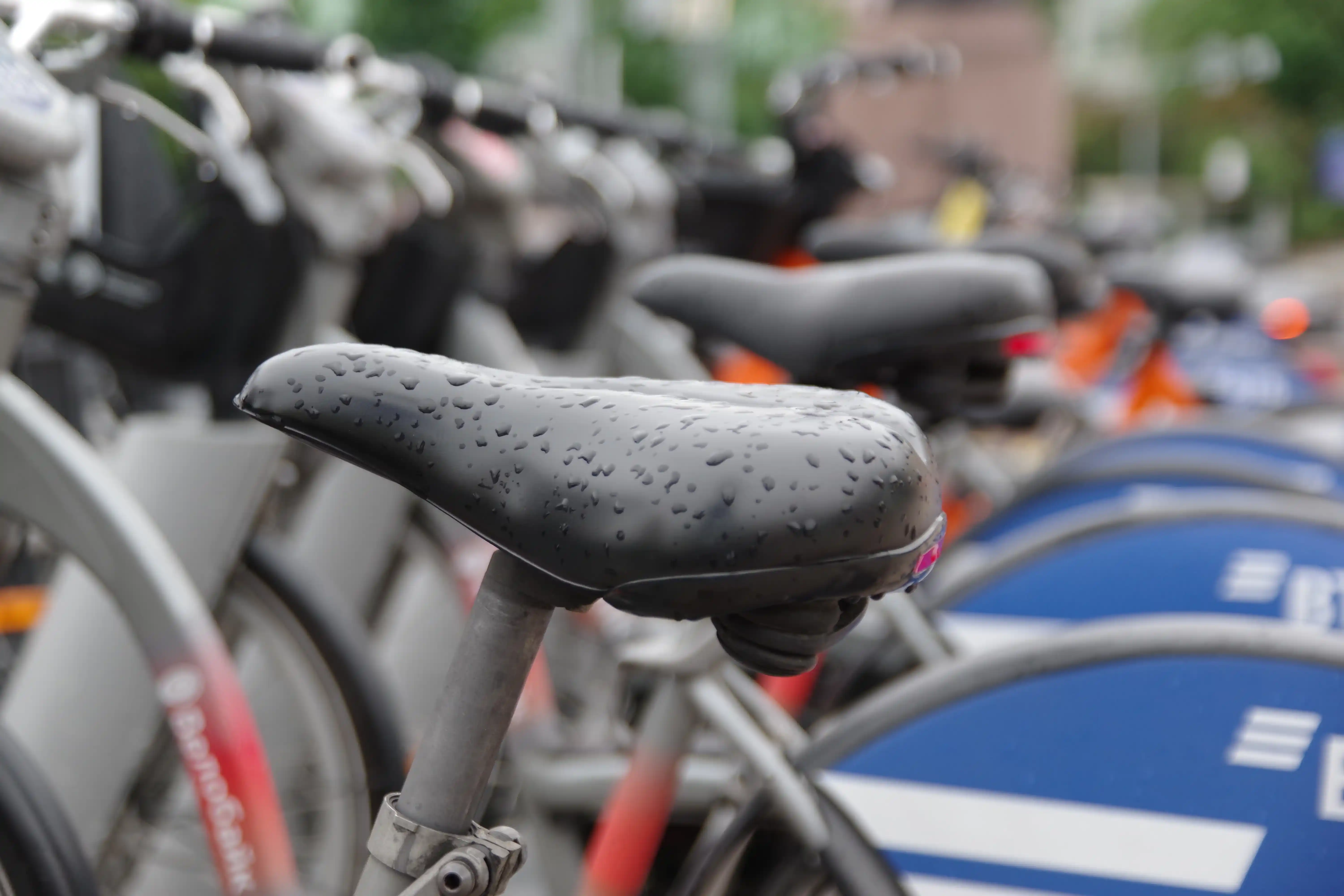 Deep Water Side Bike Rental