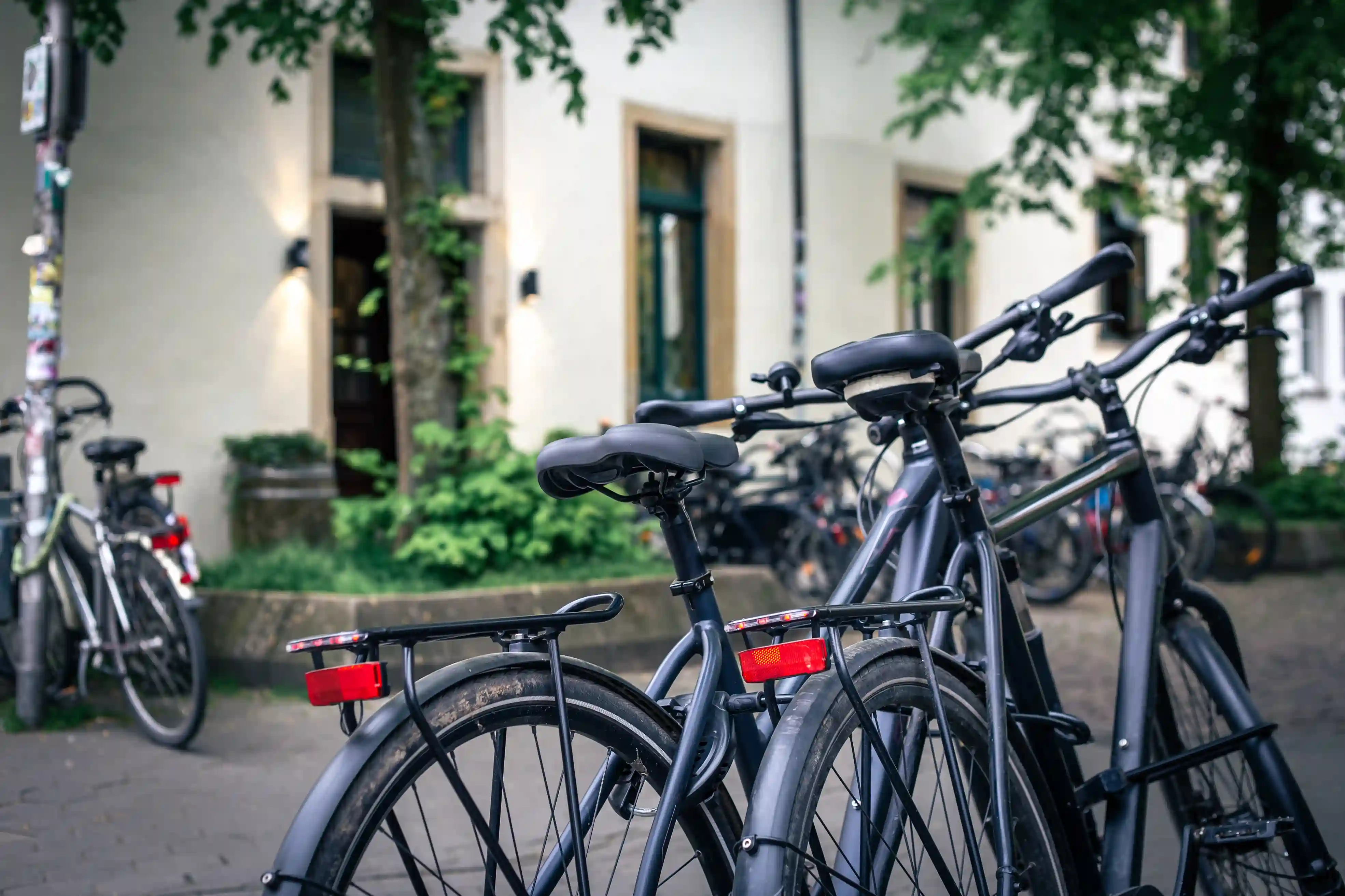 Electric Bike Rental